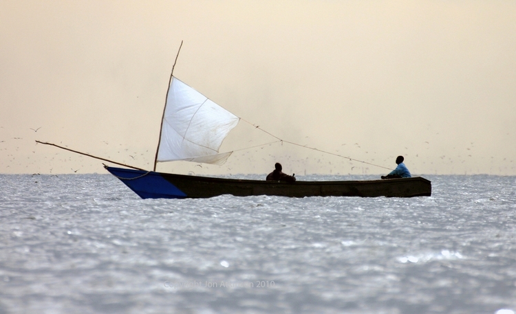 Boat tries to evade "Lake Flies" on Lake Victoria, Tanzania
